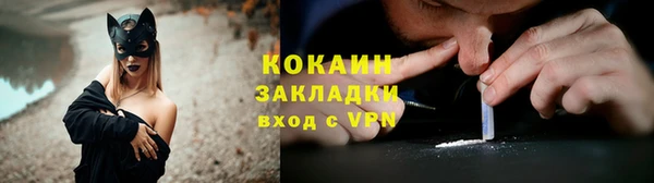 сатива Арсеньев