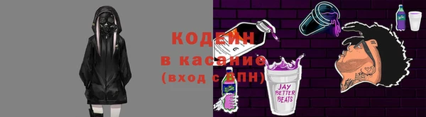 сатива Арсеньев