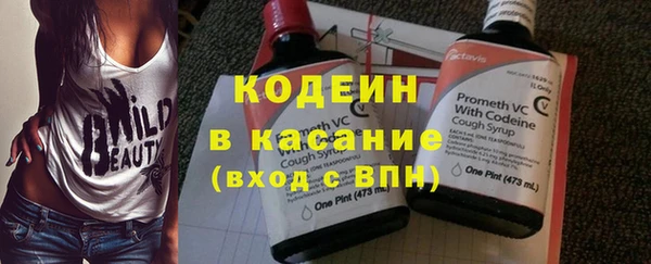 сатива Арсеньев