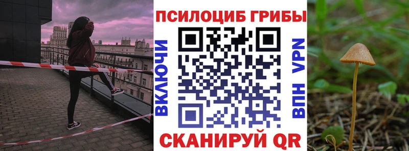 Псилоцибиновые грибы прущие грибы  где купить наркоту  Макарьев 